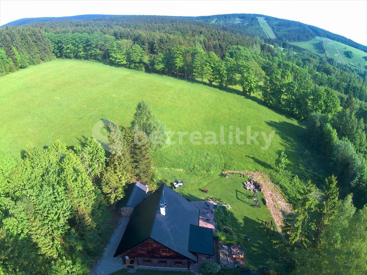 Pronájem chaty, chalupy, Deštné v Orlických horách, Královéhradecký kraj