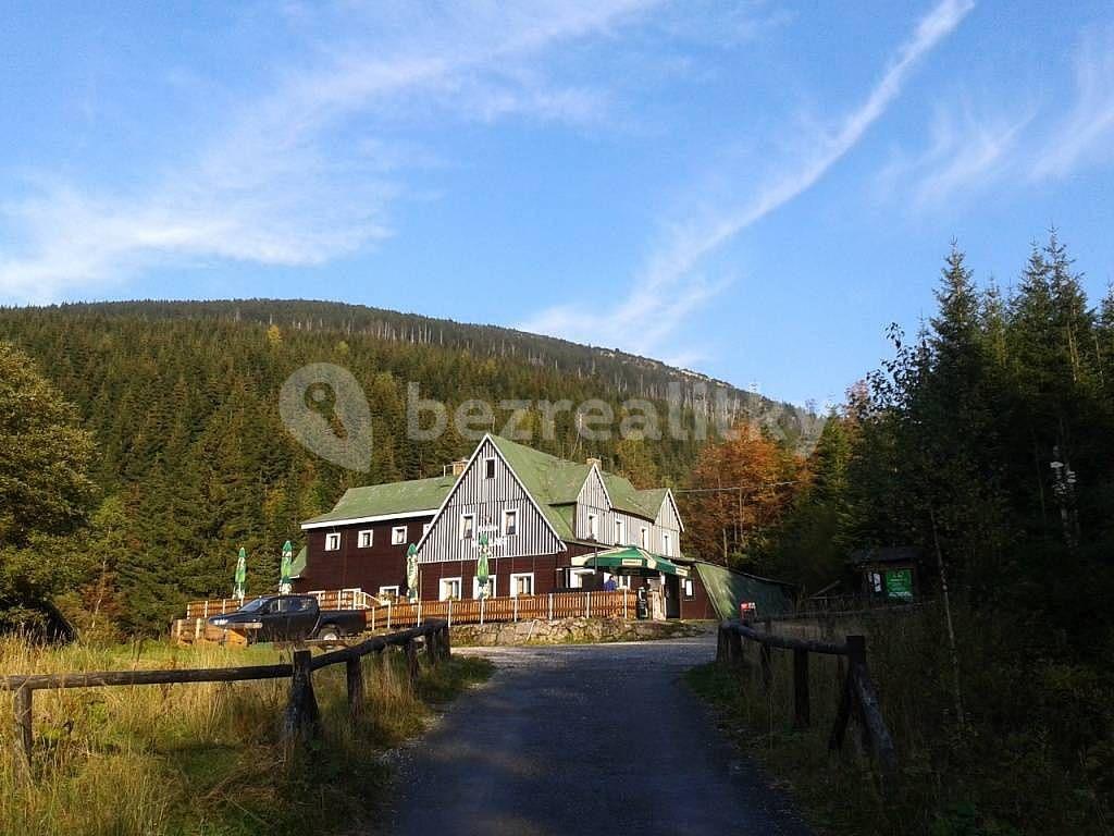 Pronájem chaty, chalupy, Špindlerův Mlýn, Královéhradecký kraj