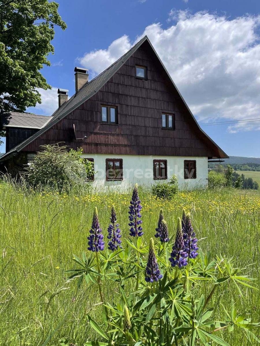 Pronájem chaty, chalupy, Říčky v Orlických horách, Královéhradecký kraj