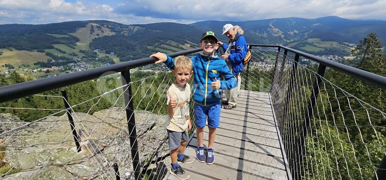 Pronájem chaty, chalupy, Rokytnice nad Jizerou, Liberecký kraj