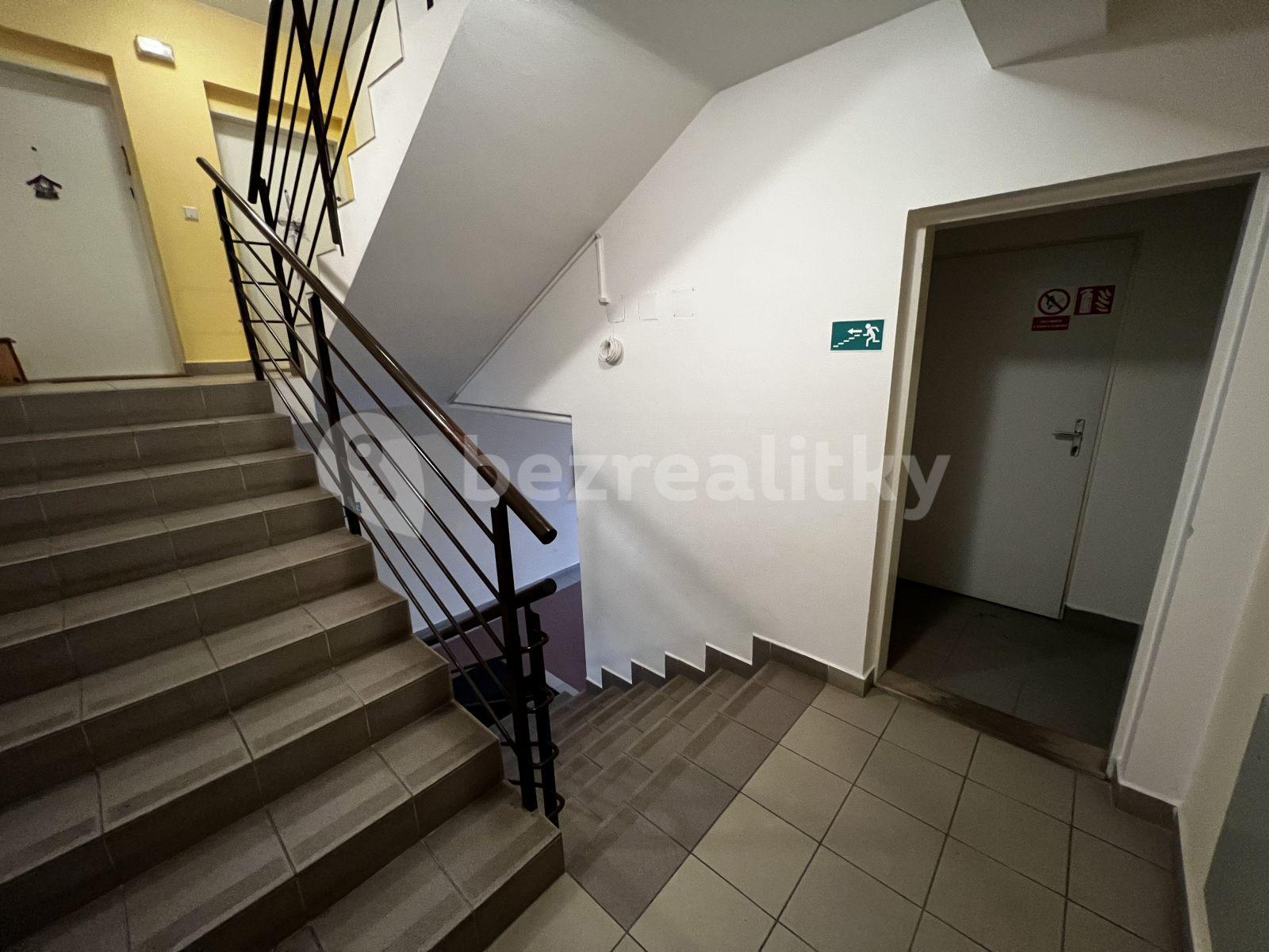 Pronájem bytu 1+kk 65 m², Žlutá, Brno, Jihomoravský kraj