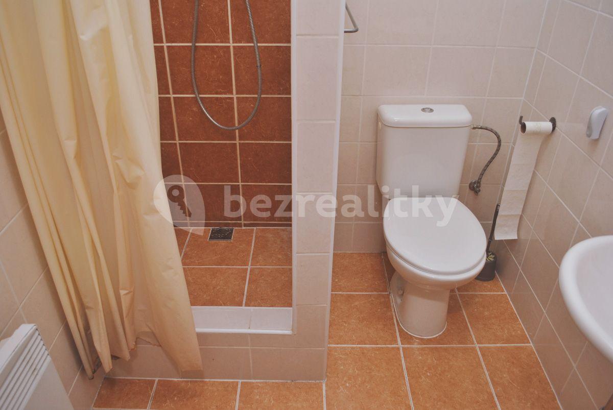 Pronájem bytu 1+kk 25 m², Spolková, Brno, Jihomoravský kraj