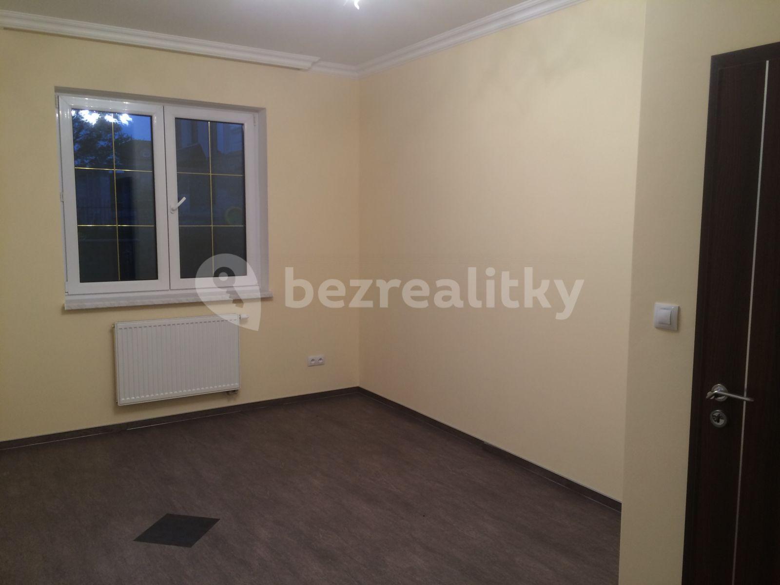 Pronájem domu 140 m², pozemek 300 m², Pod Vrchem, Jenišov, Karlovarský kraj