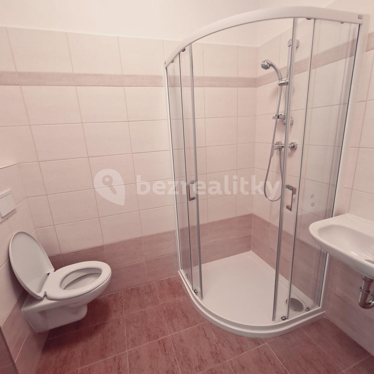 Pronájem bytu 2+kk 39 m², Slepá, Milovice, Středočeský kraj