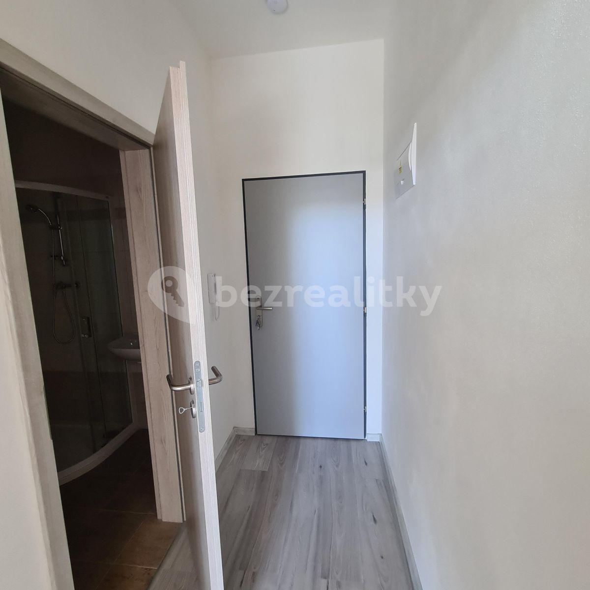 Pronájem bytu 2+kk 39 m², Slepá, Milovice, Středočeský kraj