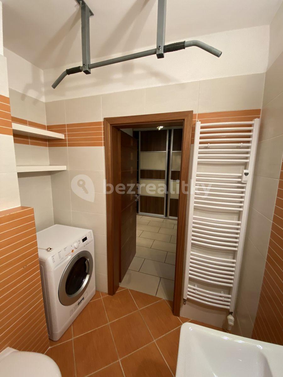 Pronájem bytu 1+kk 54 m², Litoměřická, Praha, Praha