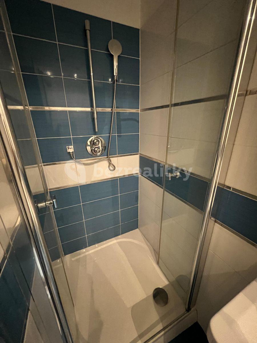 Pronájem bytu 1+kk 46 m², Haštalská, Praha, Praha