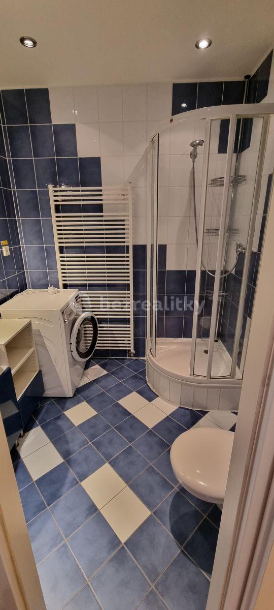 Pronájem bytu 2+kk 54 m², Lukášova, Praha, Praha