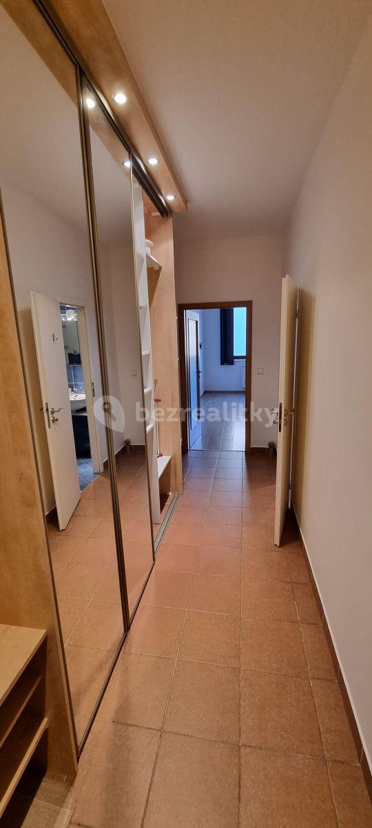 Pronájem bytu 2+kk 54 m², Lukášova, Praha, Praha