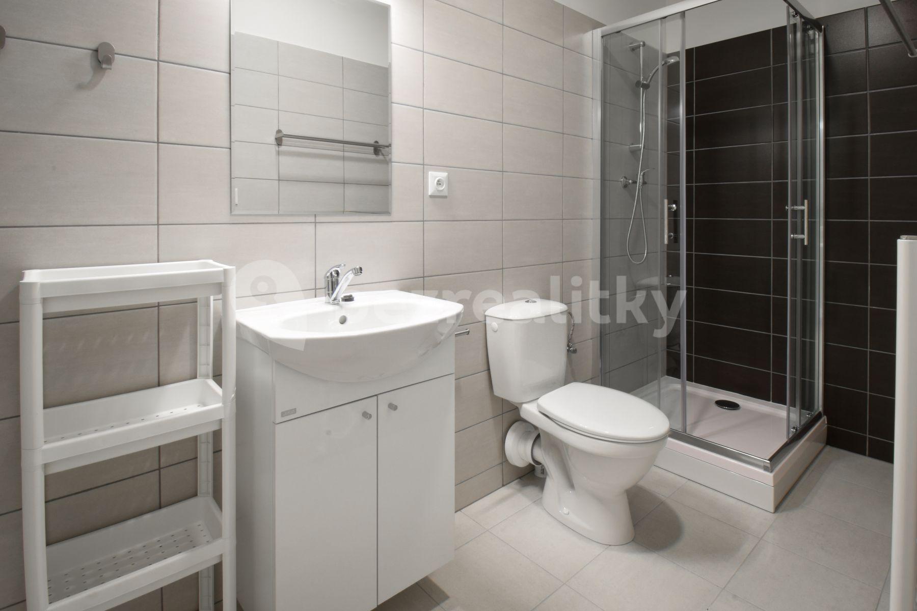 Pronájem bytu 1+1 28 m², Hybešova, Brno, Jihomoravský kraj