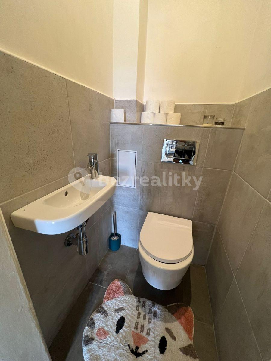 Pronájem bytu 1+1 40 m², Na Výtoni, Praha, Praha