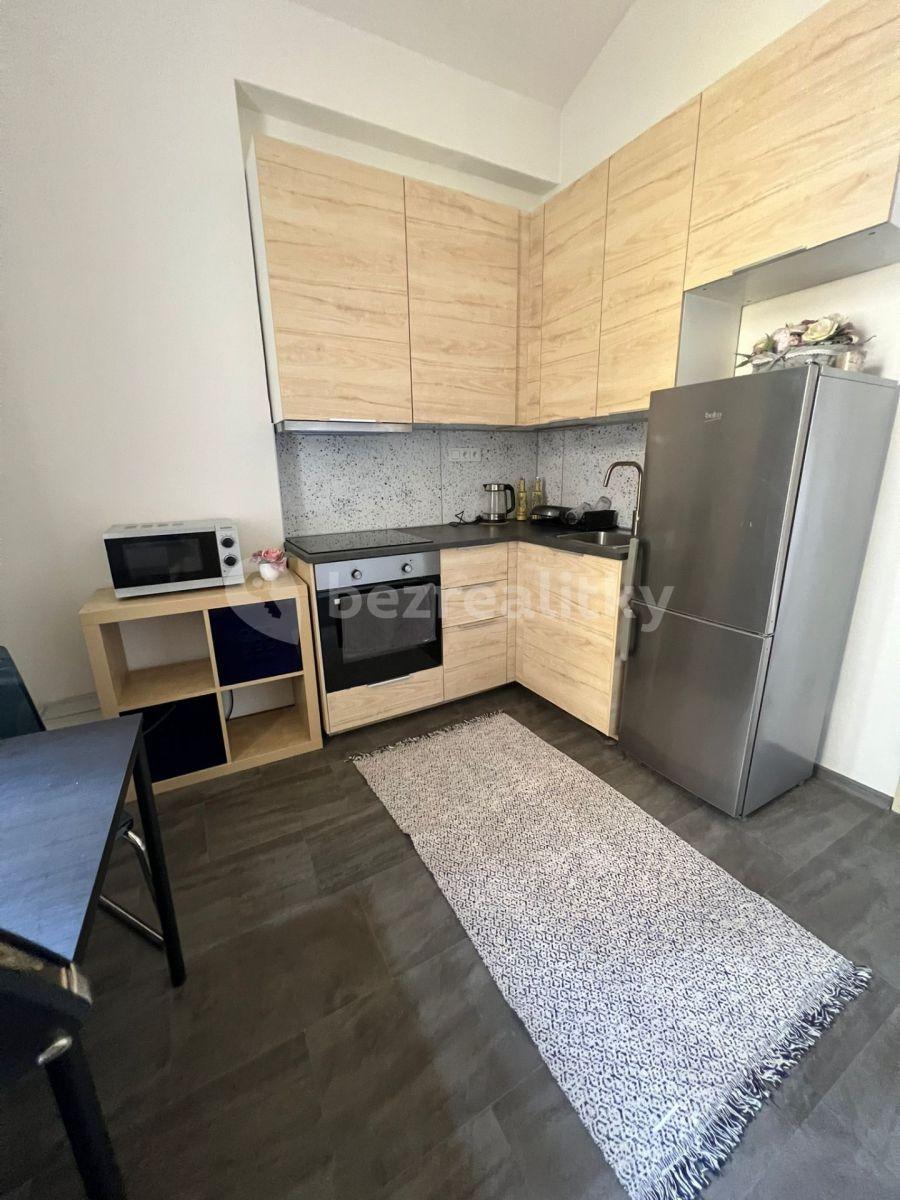 Pronájem bytu 1+1 40 m², Na Výtoni, Praha, Praha