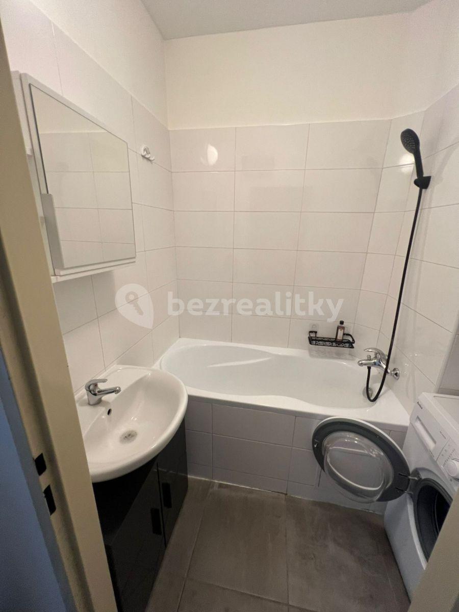 Pronájem bytu 1+1 40 m², Na Výtoni, Praha, Praha