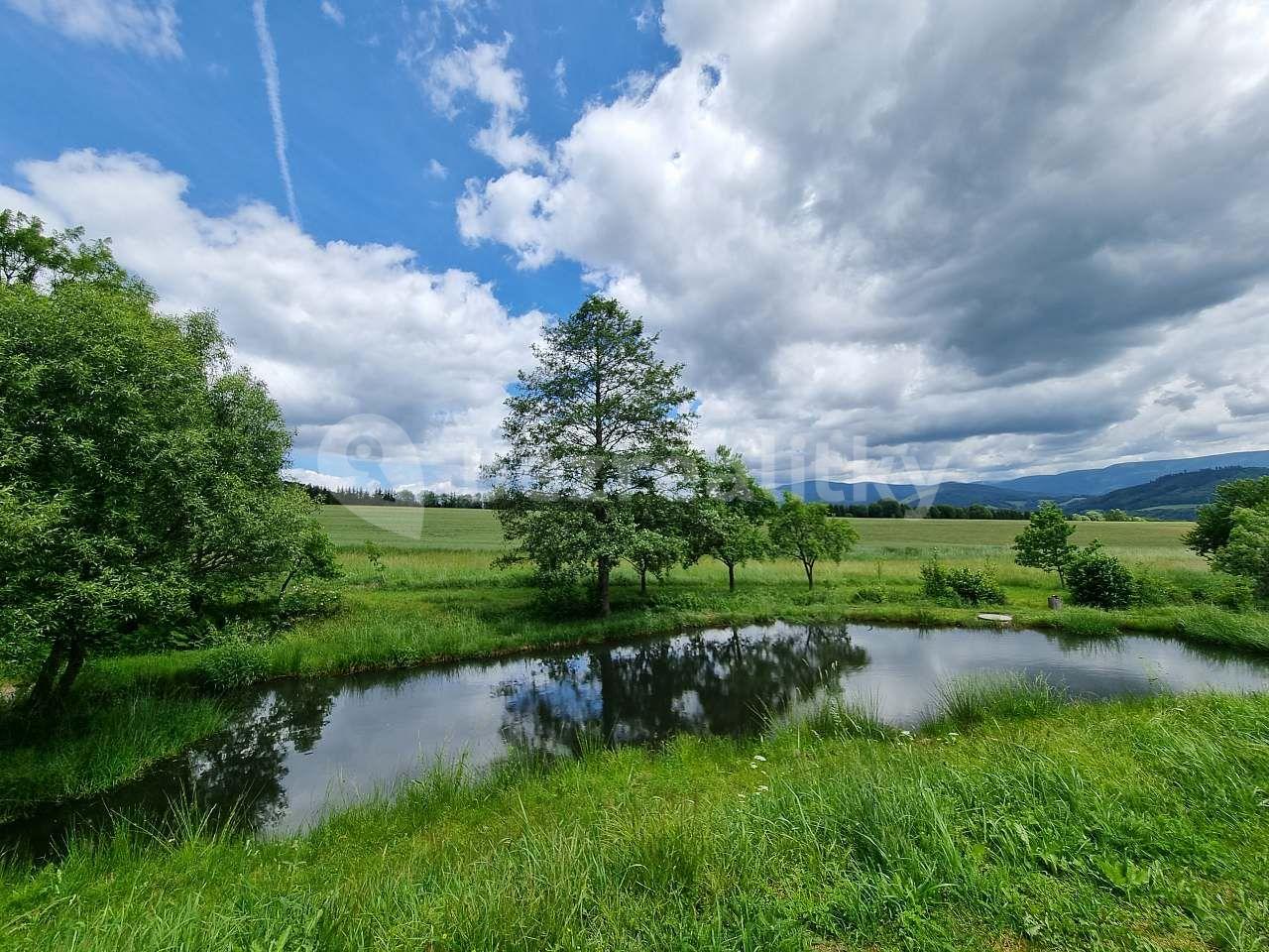 Pronájem chaty, chalupy, Velké Losiny, Olomoucký kraj