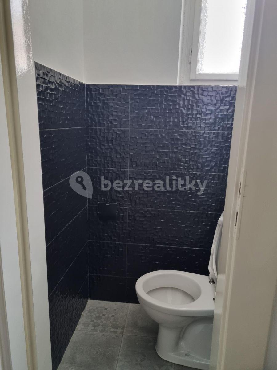 Pronájem bytu Garsoniéra 42 m², Podhorská, Praha, Praha