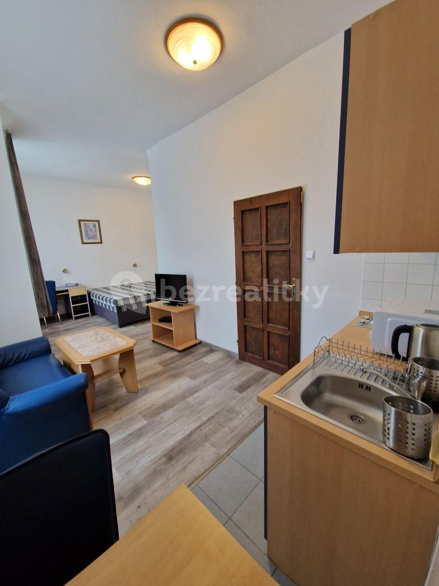 Pronájem bytu 1+kk 26 m², Vratislavova, Praha, Praha