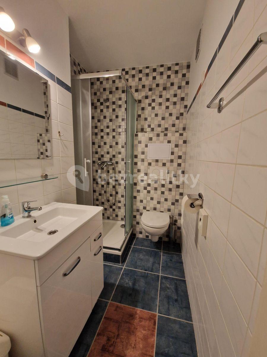 Pronájem bytu 1+kk 26 m², Vratislavova, Praha, Praha