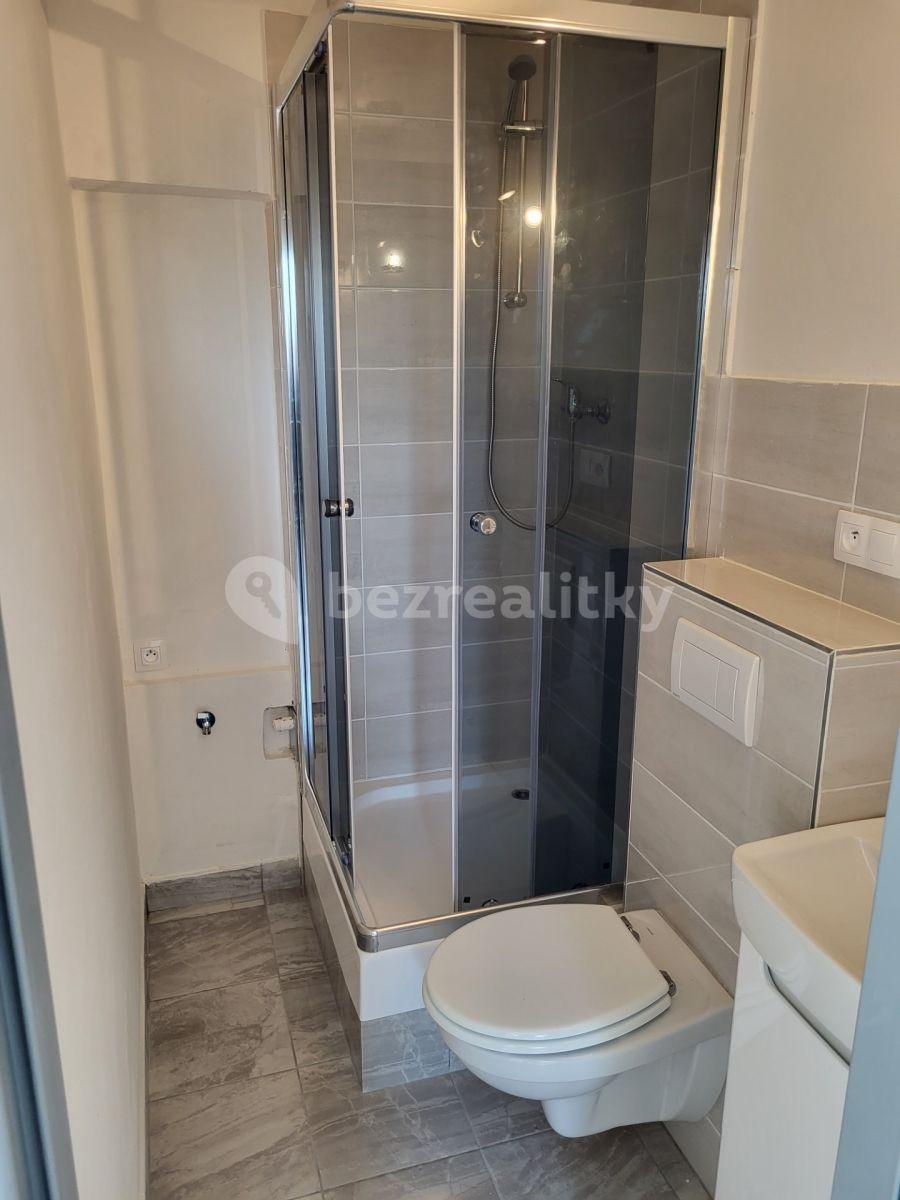 Pronájem bytu 1+kk 29 m², Praha, Praha