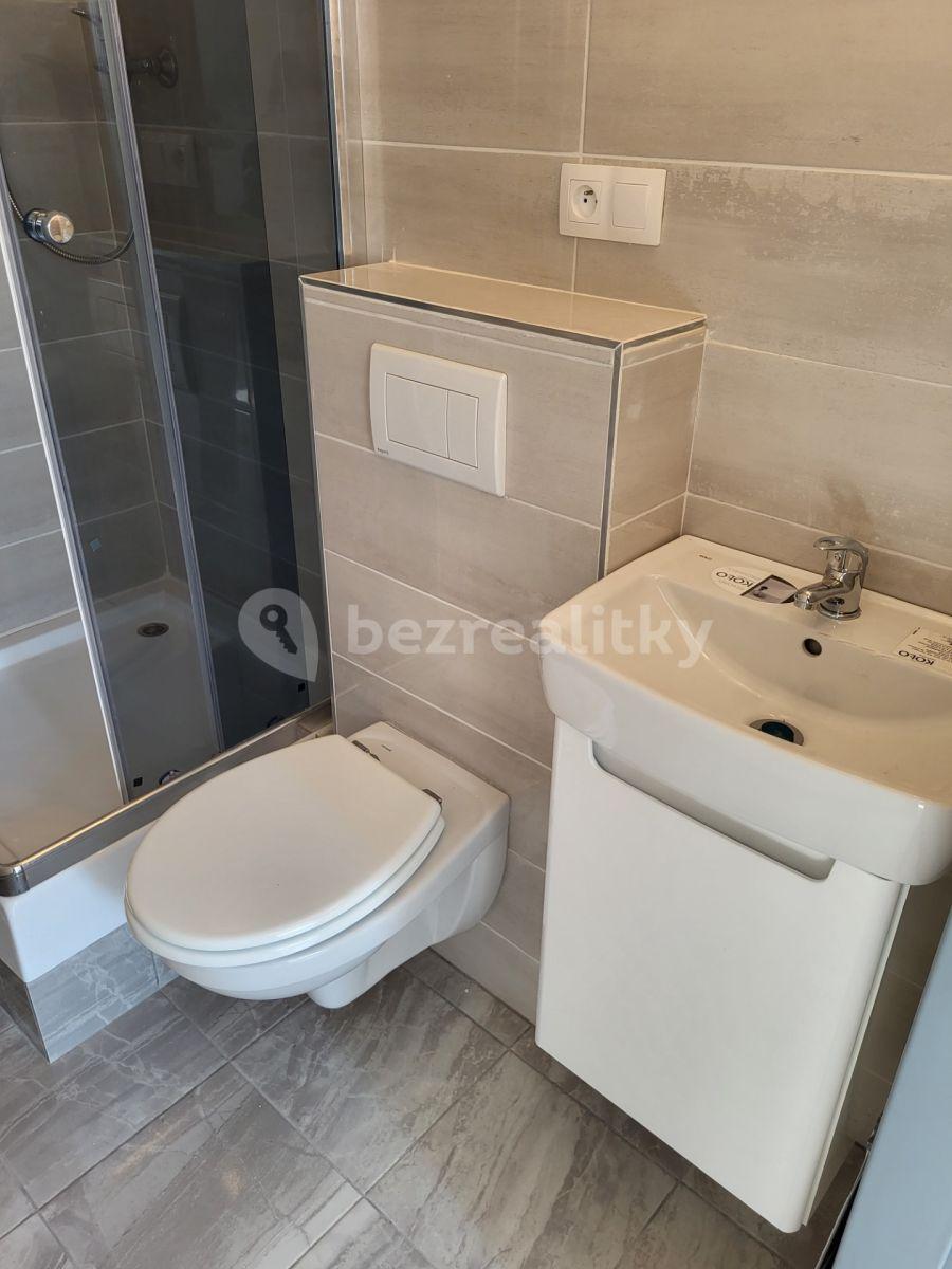 Pronájem bytu 1+kk 29 m², Praha, Praha