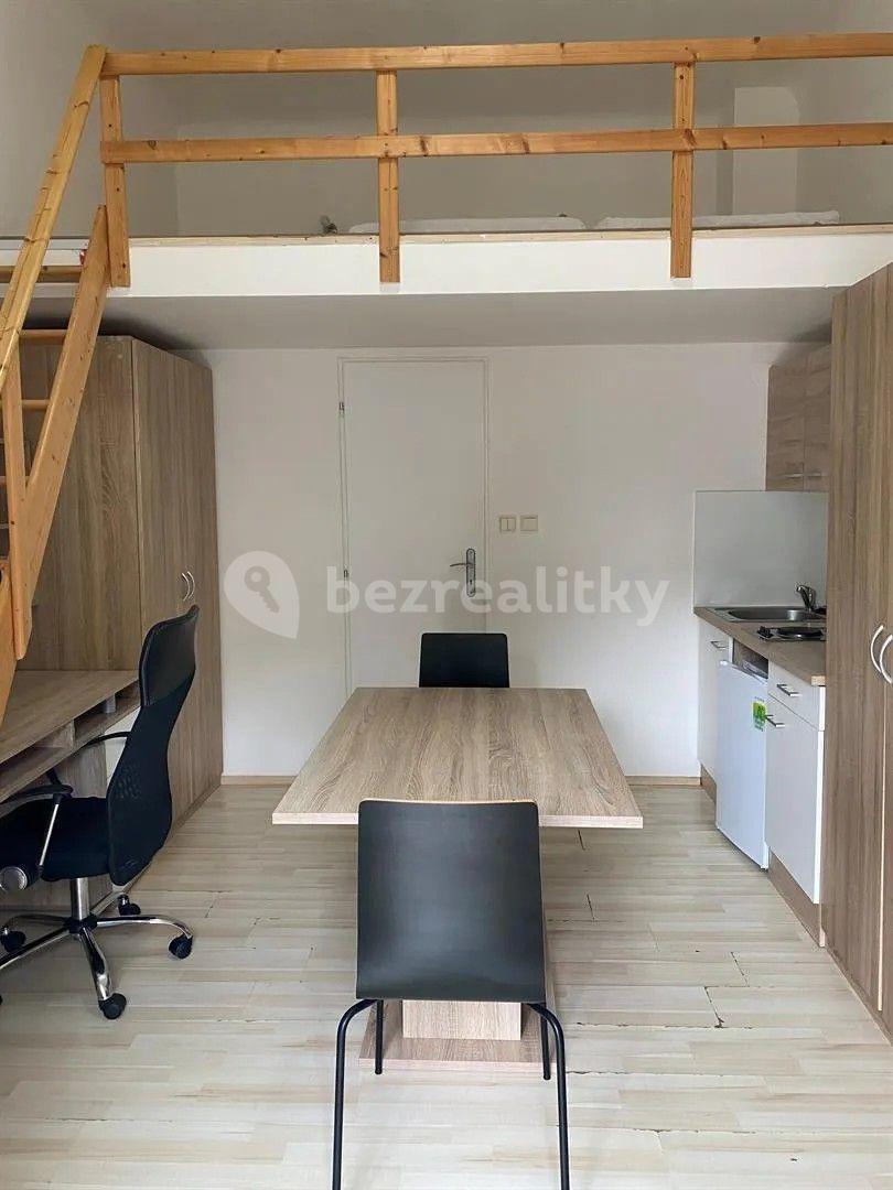 Pronájem bytu 1+kk 18 m², Václavská, Brno, Jihomoravský kraj