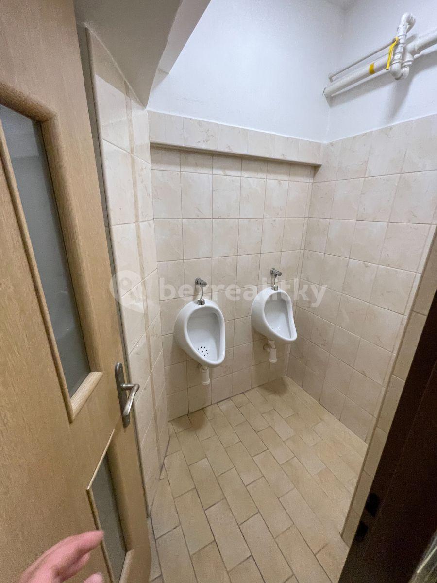 Pronájem nebytového prostoru 235 m², Vacínova, Praha, Praha