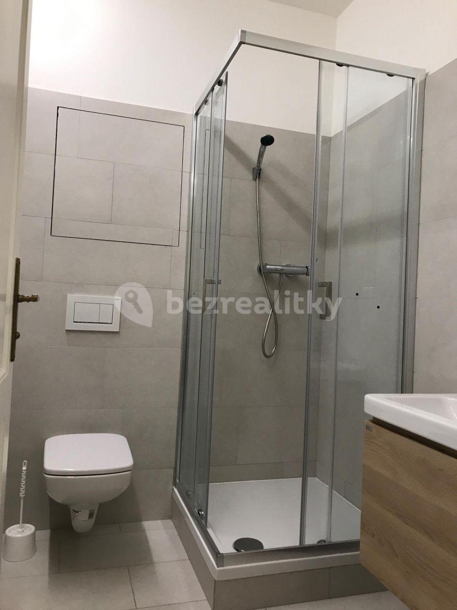 Pronájem bytu 1+kk 34 m², Olomouc, Olomoucký kraj