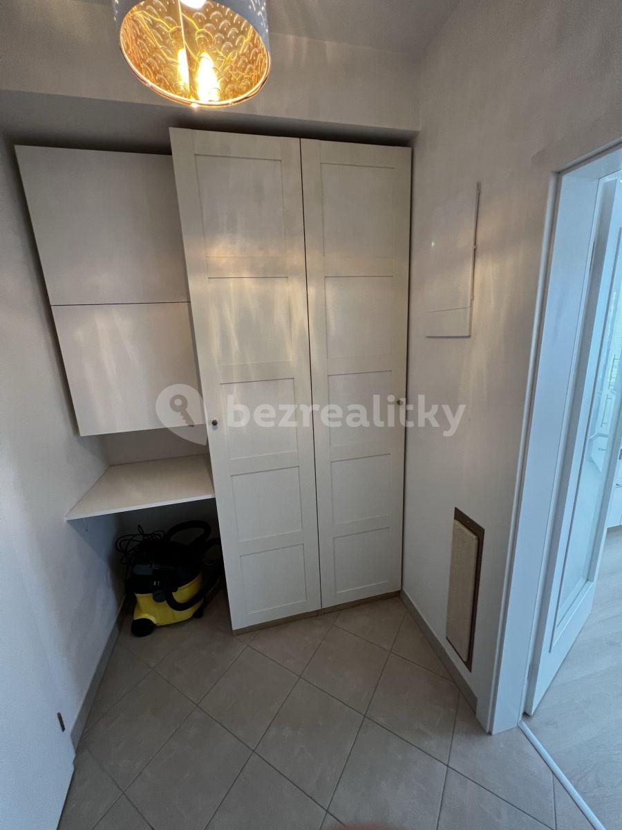 Pronájem bytu 1+kk 40 m², Míšovická, Praha, Praha