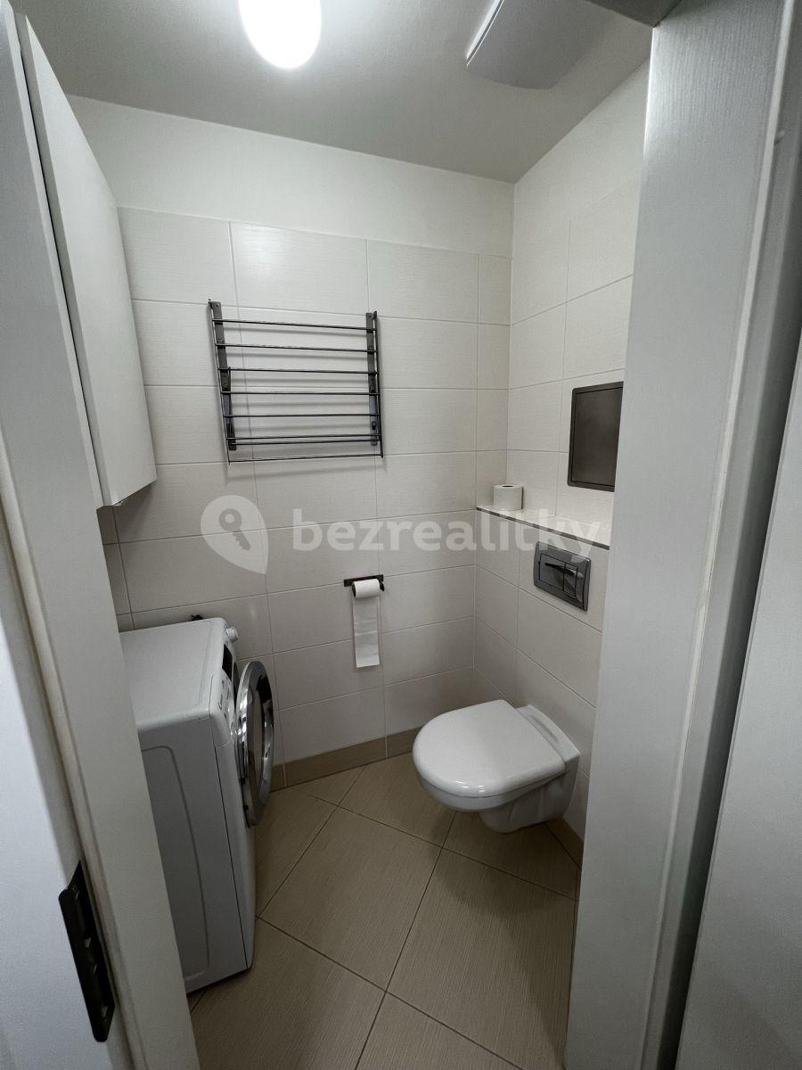 Pronájem bytu 1+kk 40 m², Míšovická, Praha, Praha