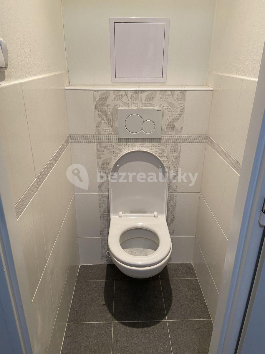 Pronájem bytu 3+kk 74 m², Plevenská, Praha, Praha