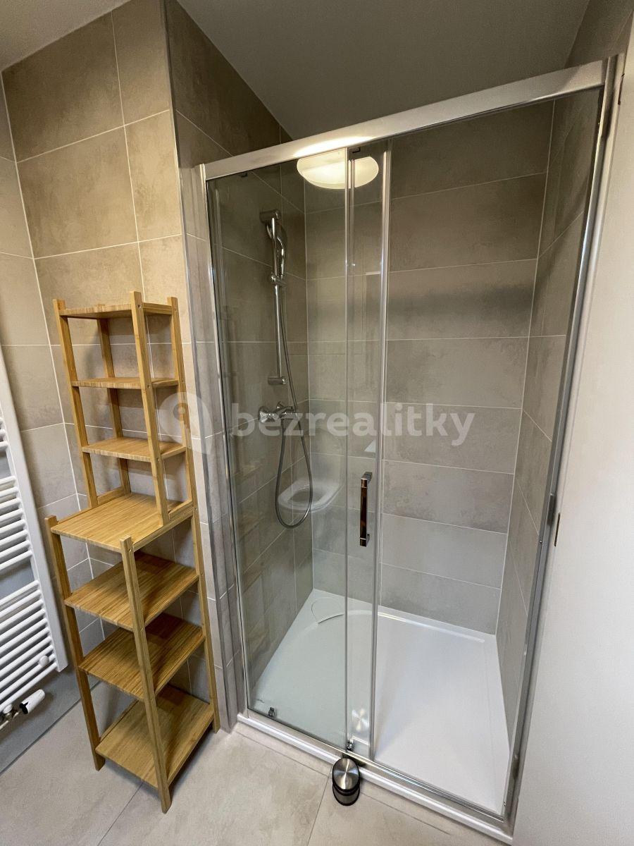 Pronájem bytu 1+kk 33 m², Hartigova, Praha, Praha