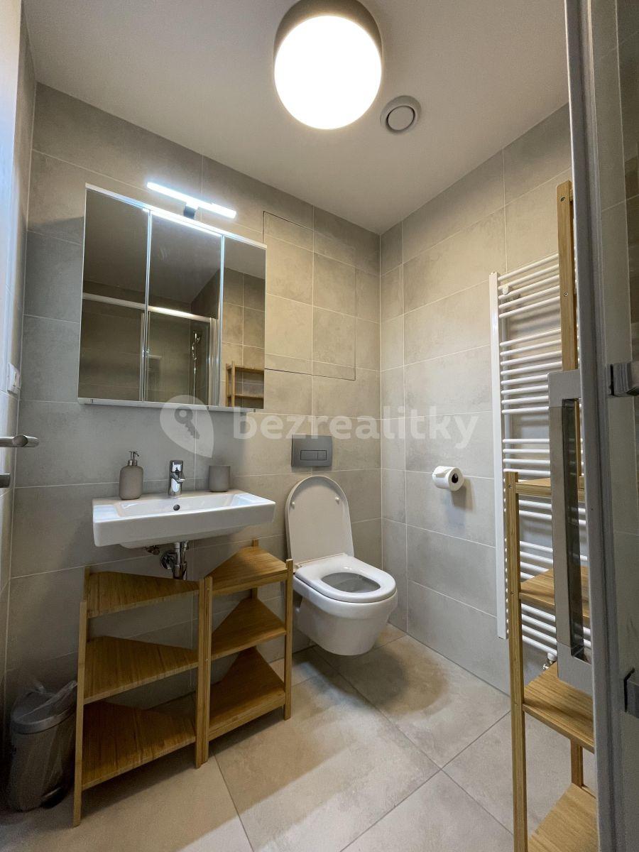 Pronájem bytu 1+kk 33 m², Hartigova, Praha, Praha