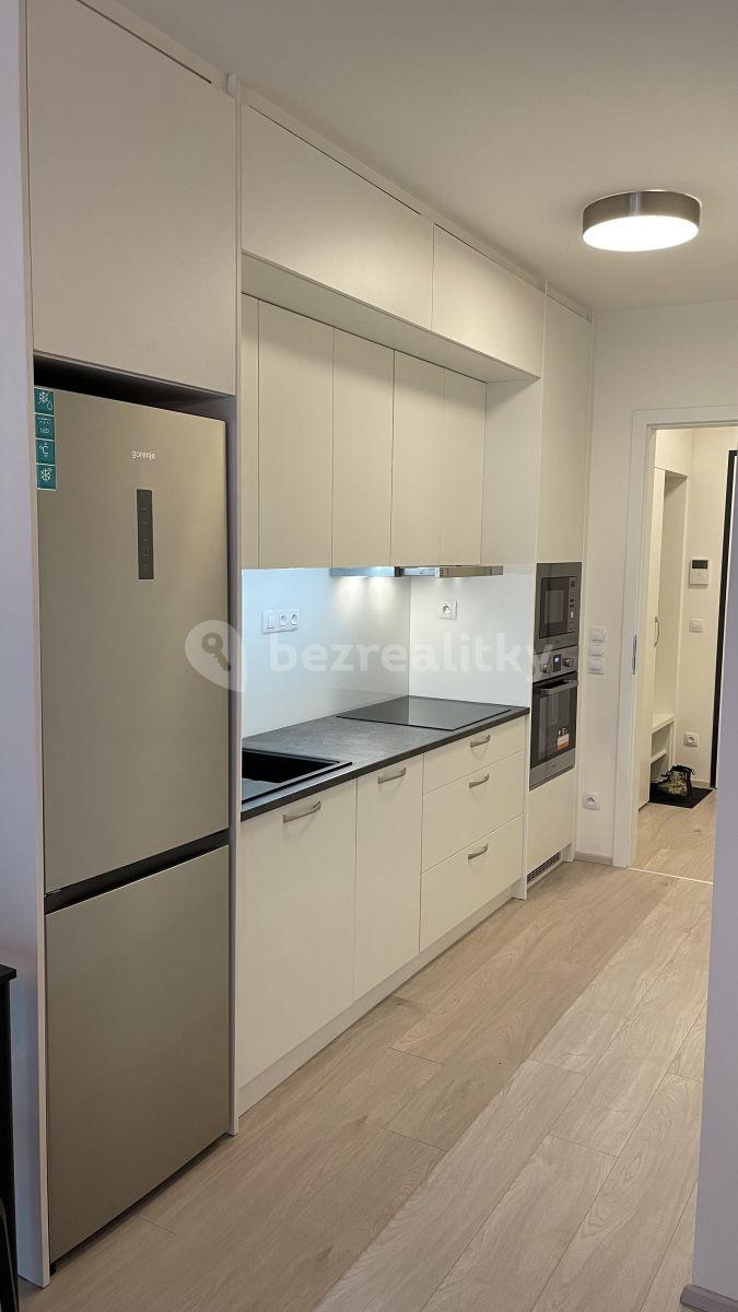 Pronájem bytu 1+kk 33 m², Hartigova, Praha, Praha