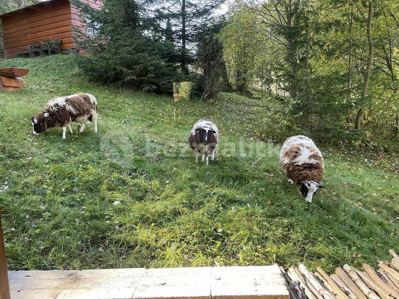 Pronájem chaty, chalupy, Velké Karlovice, Zlínský kraj