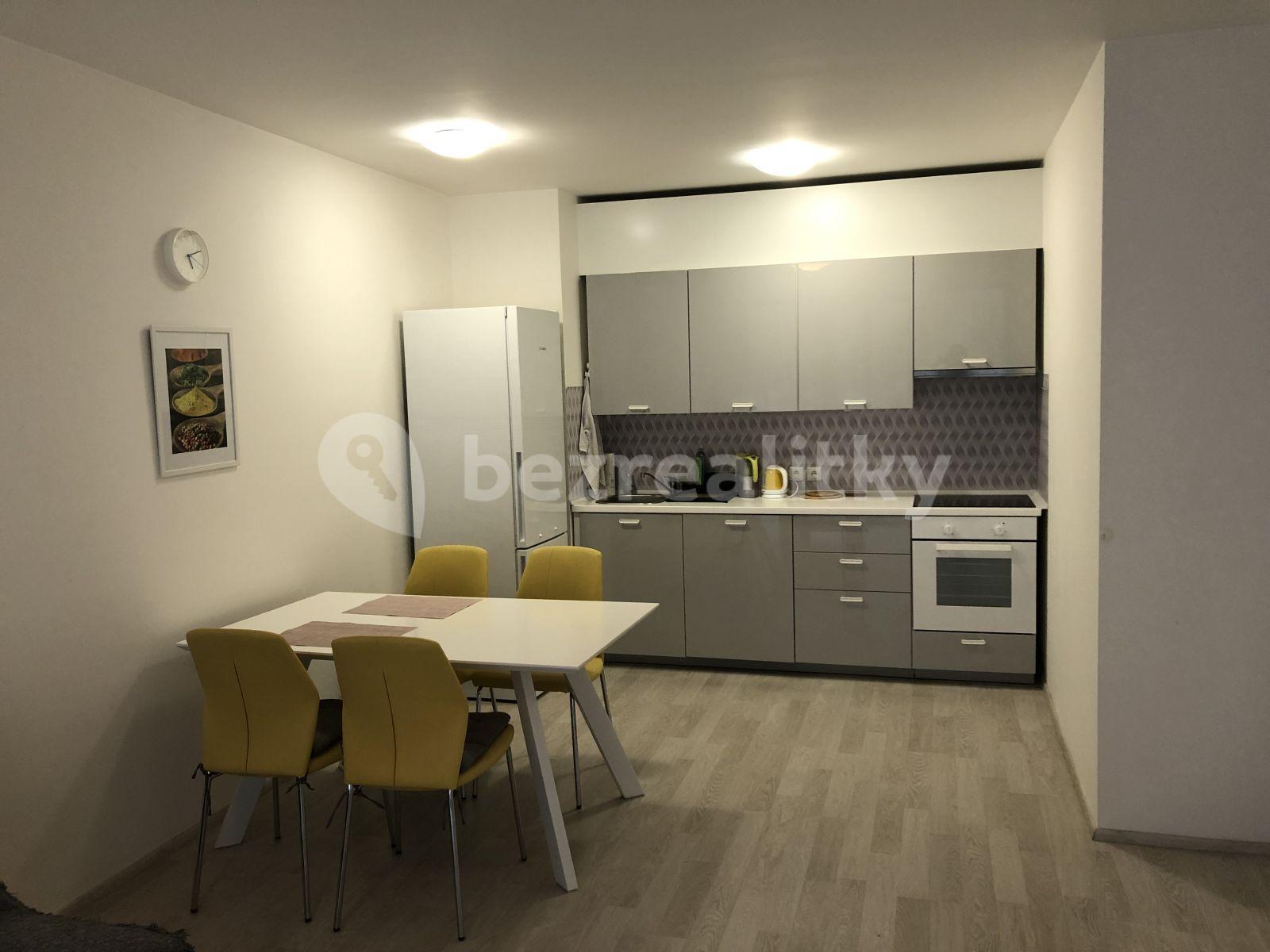 Pronájem bytu 2+kk 55 m², U Mlýnského kanálu, Praha, Praha