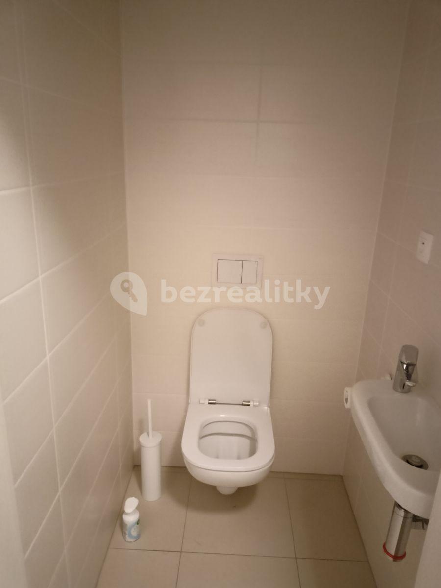 Pronájem bytu 2+kk 55 m², U Mlýnského kanálu, Praha, Praha