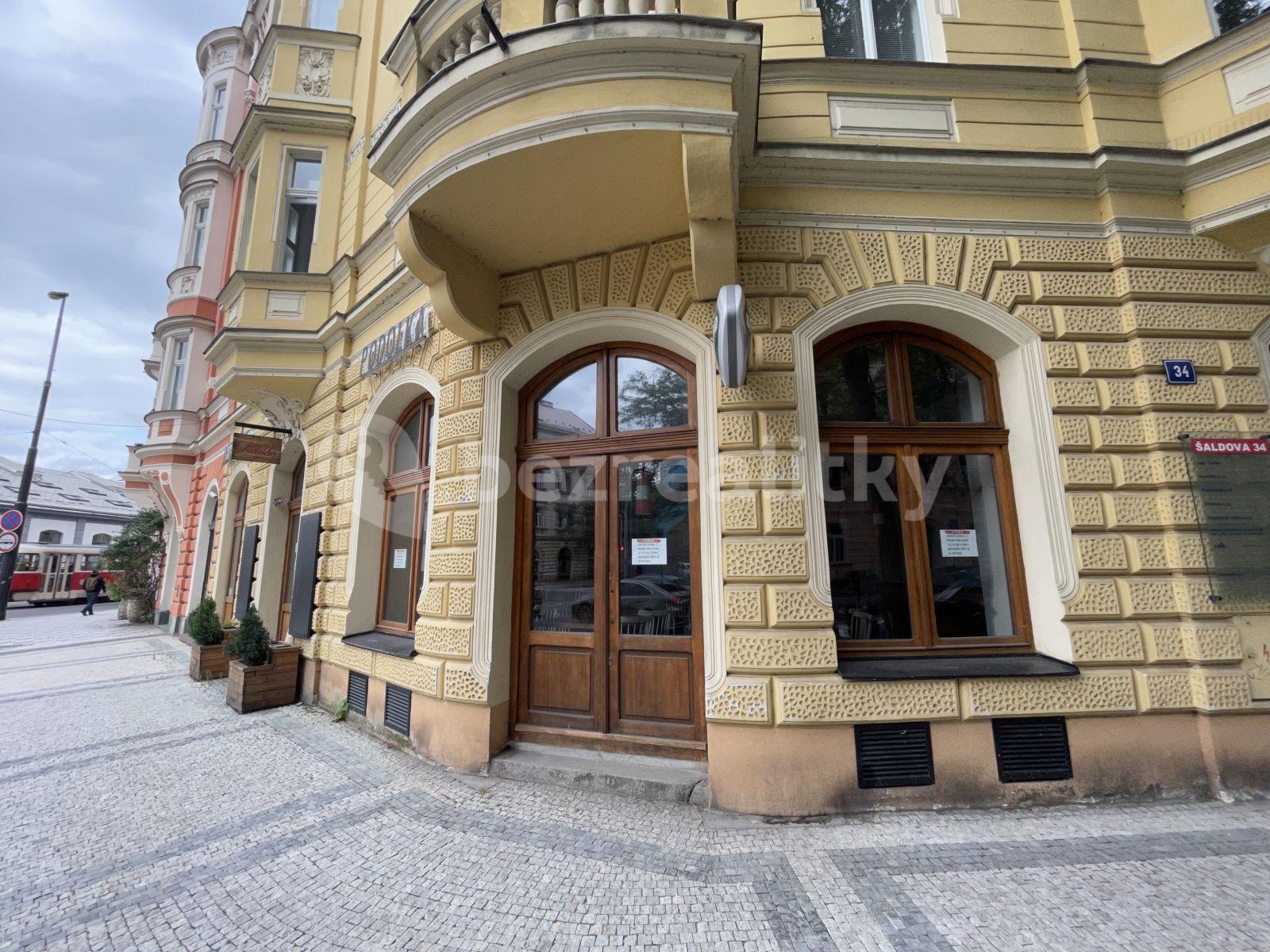 Pronájem bytu Garsoniéra 21 m², Šaldova, Praha, Praha