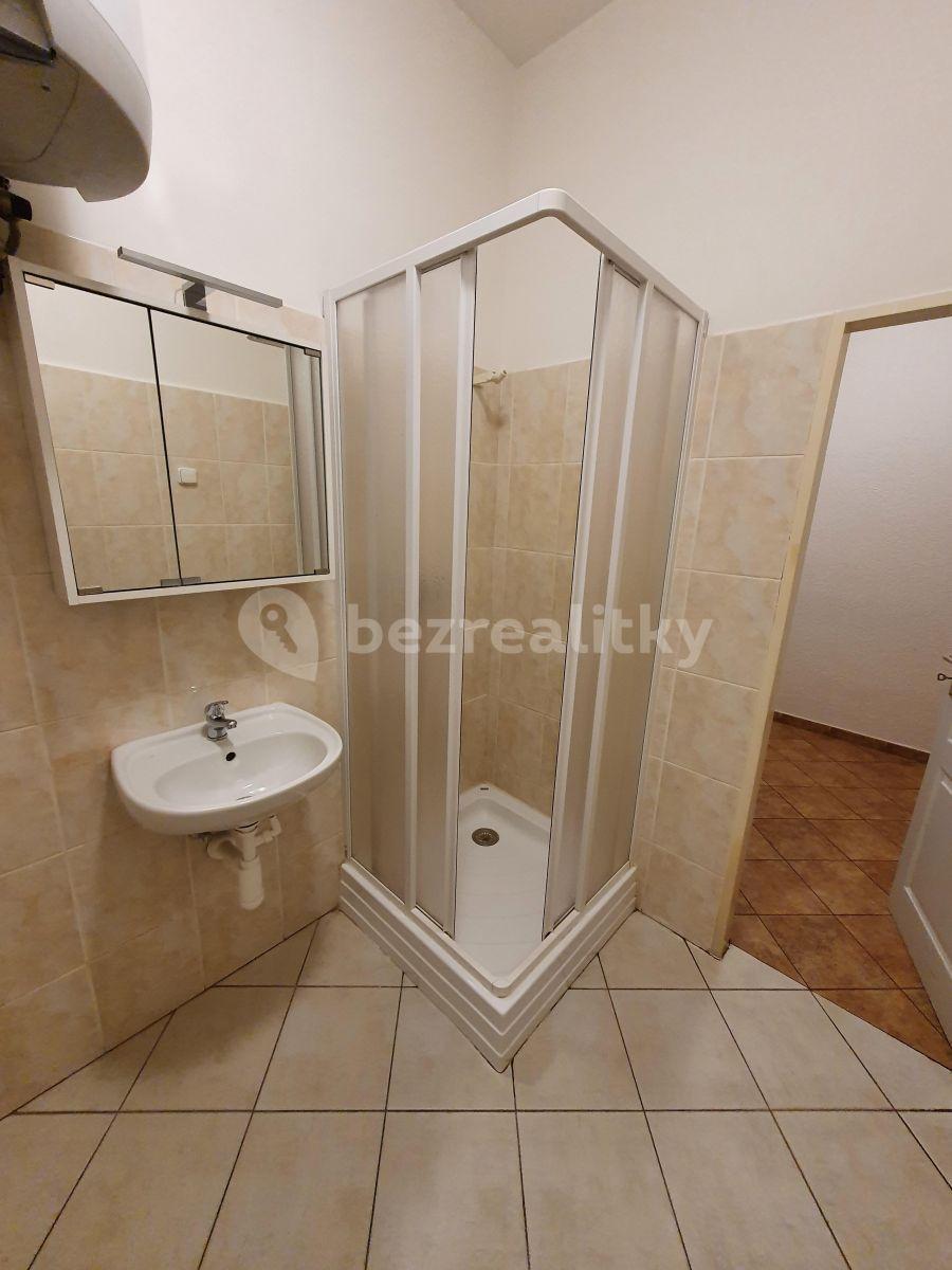 Pronájem bytu Garsoniéra 24 m², Záběhlická, Praha, Praha