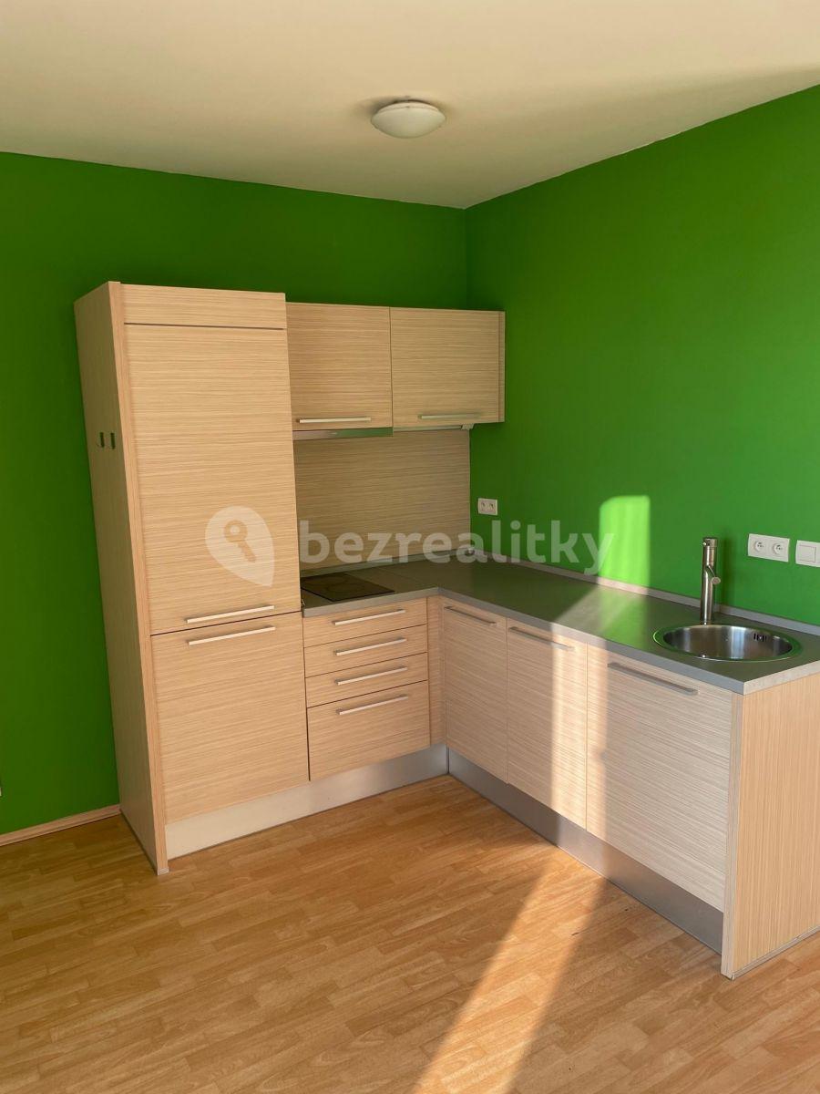 Pronájem bytu 1+kk 48 m², Novodvorská, Praha, Praha