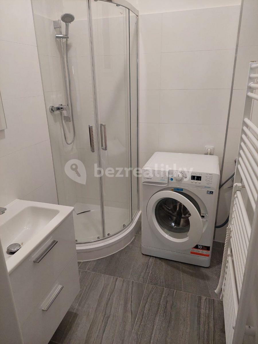 Pronájem bytu Garsoniéra 30 m², Počátecká, Praha, Praha