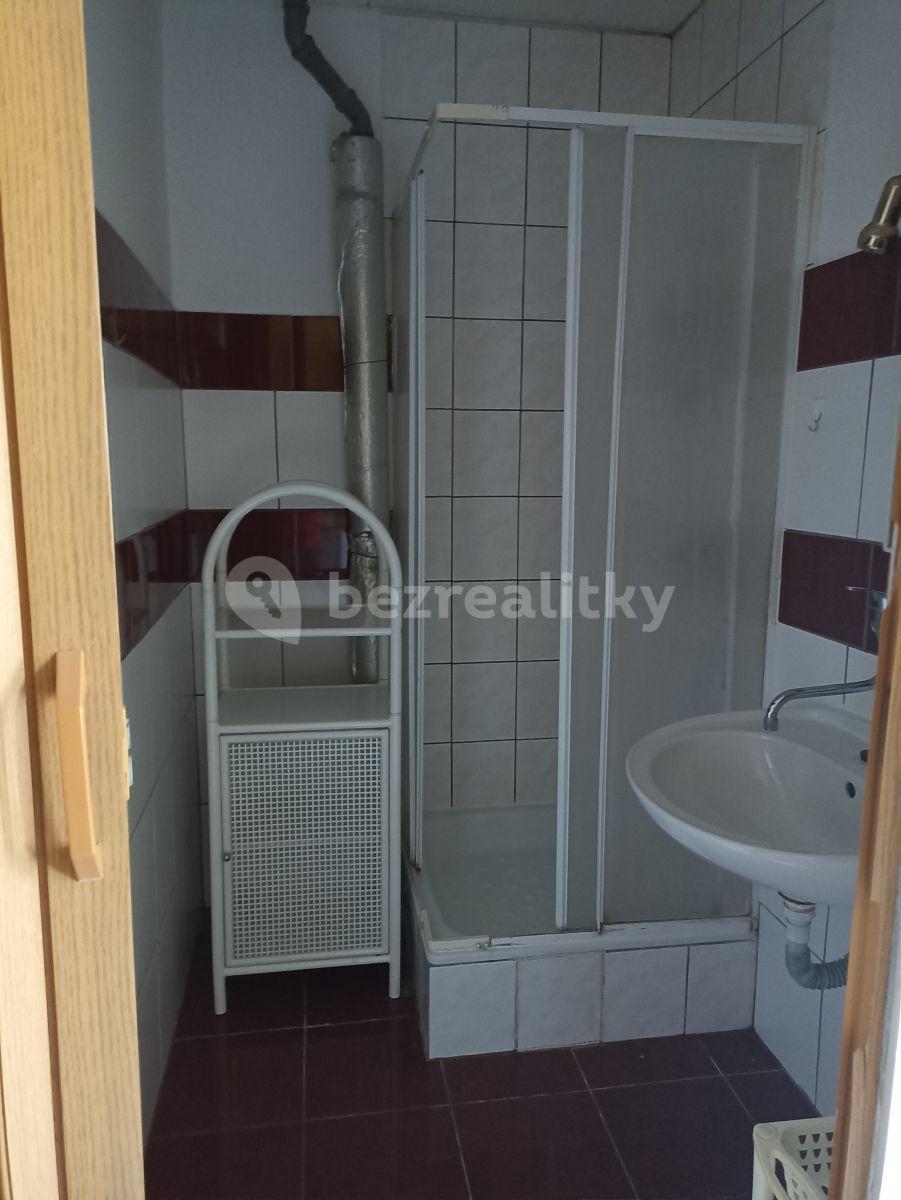 Pronájem bytu 1+kk 32 m², Záryby, Středočeský kraj