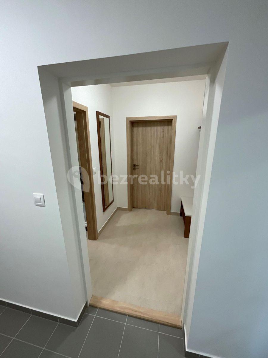 Pronájem bytu 1+kk 40 m², Jihlava, Kraj Vysočina