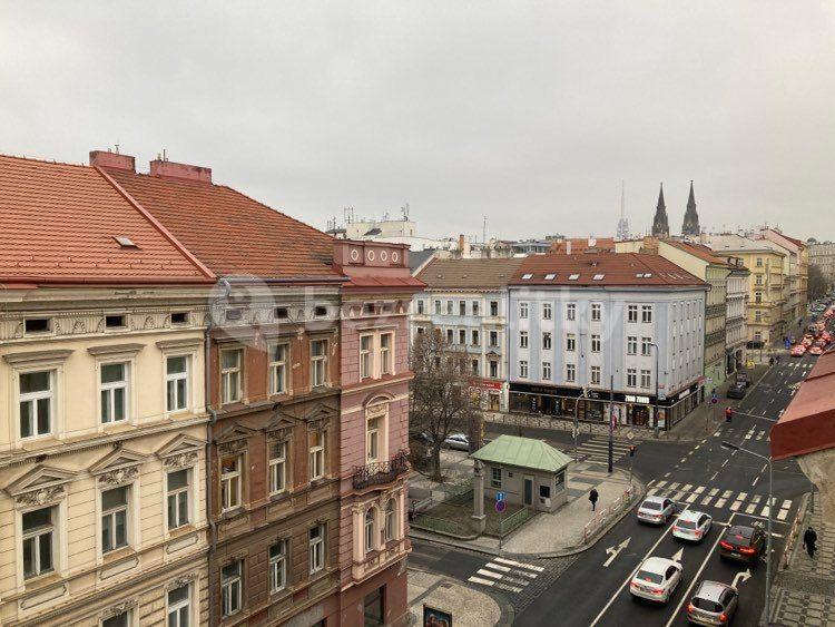 Pronájem bytu 100 m², Rumunská, Praha, Praha