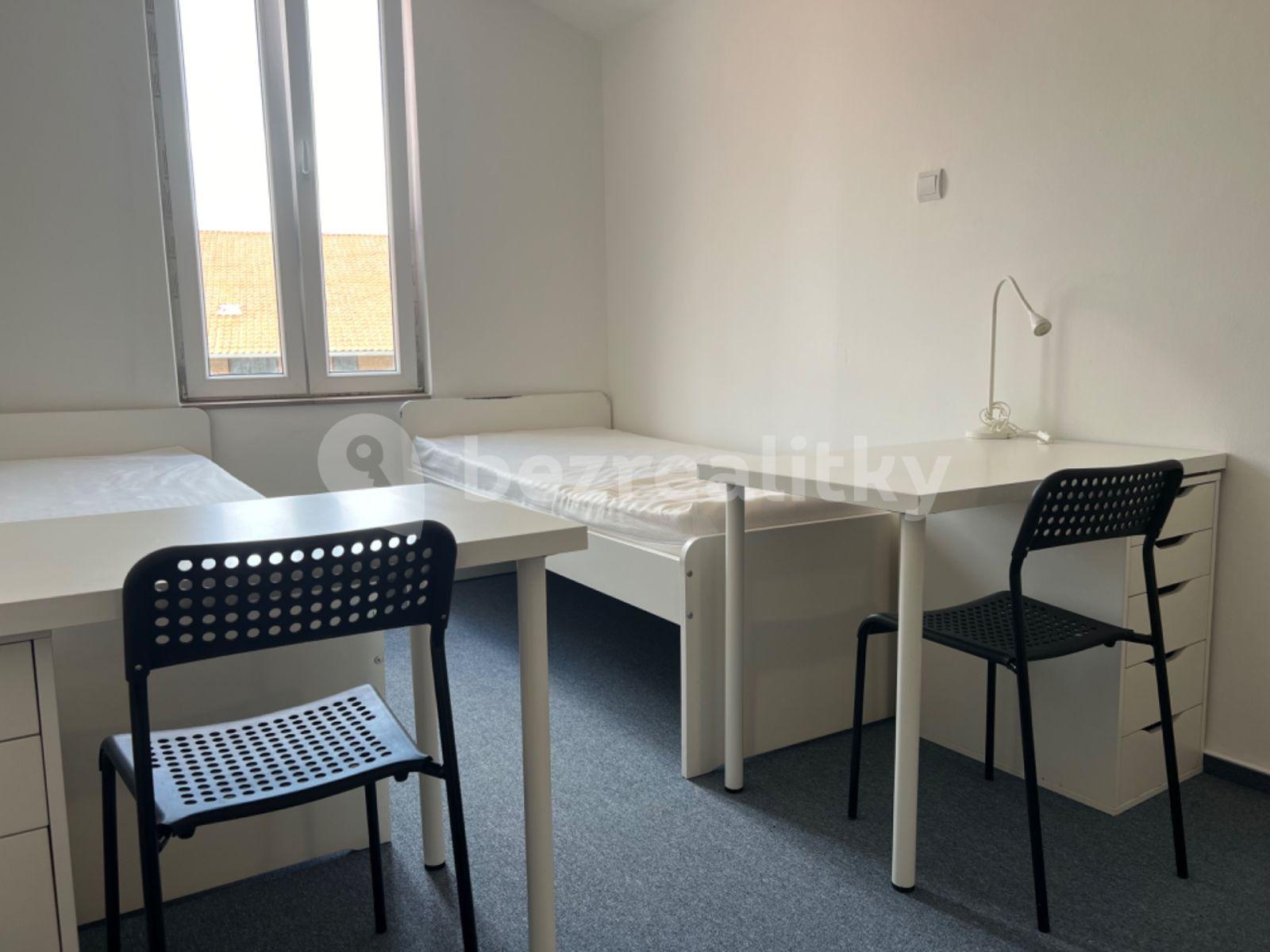 Pronájem bytu 1+kk 23 m², Václavská, Brno, Jihomoravský kraj