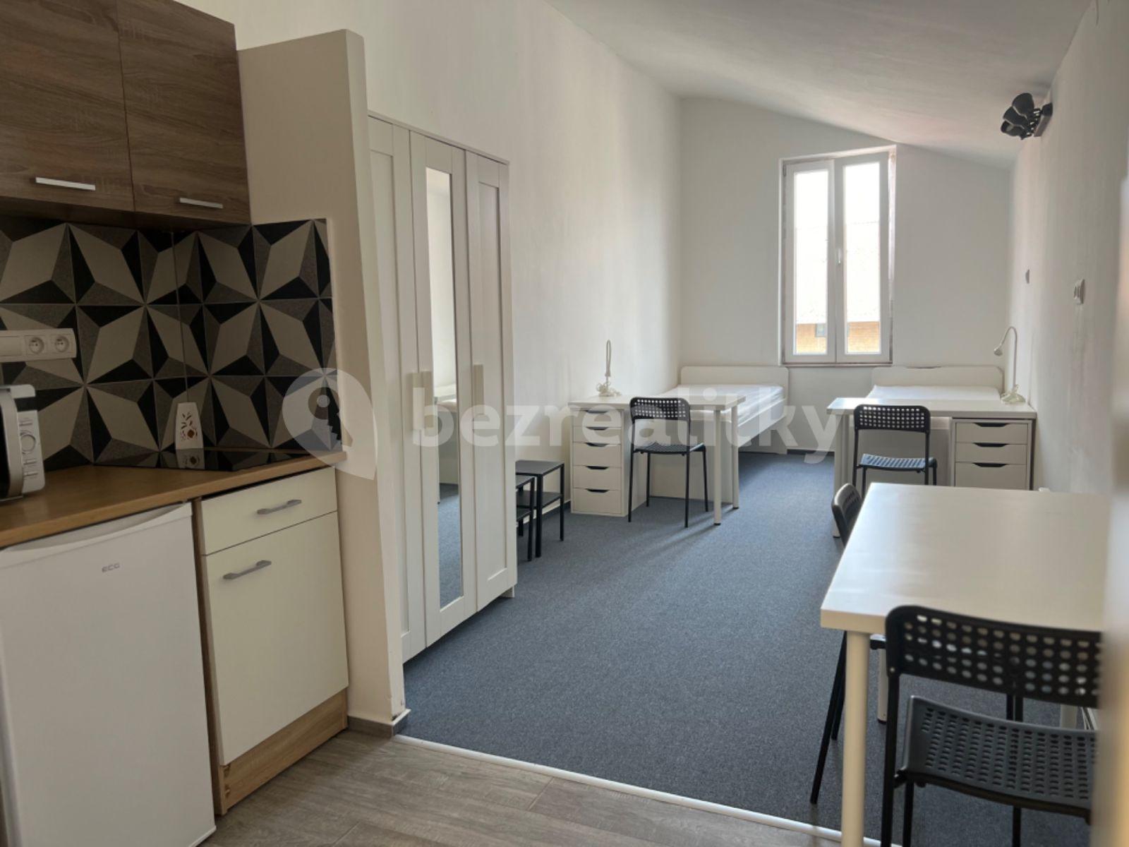 Pronájem bytu 1+kk 23 m², Václavská, Brno, Jihomoravský kraj