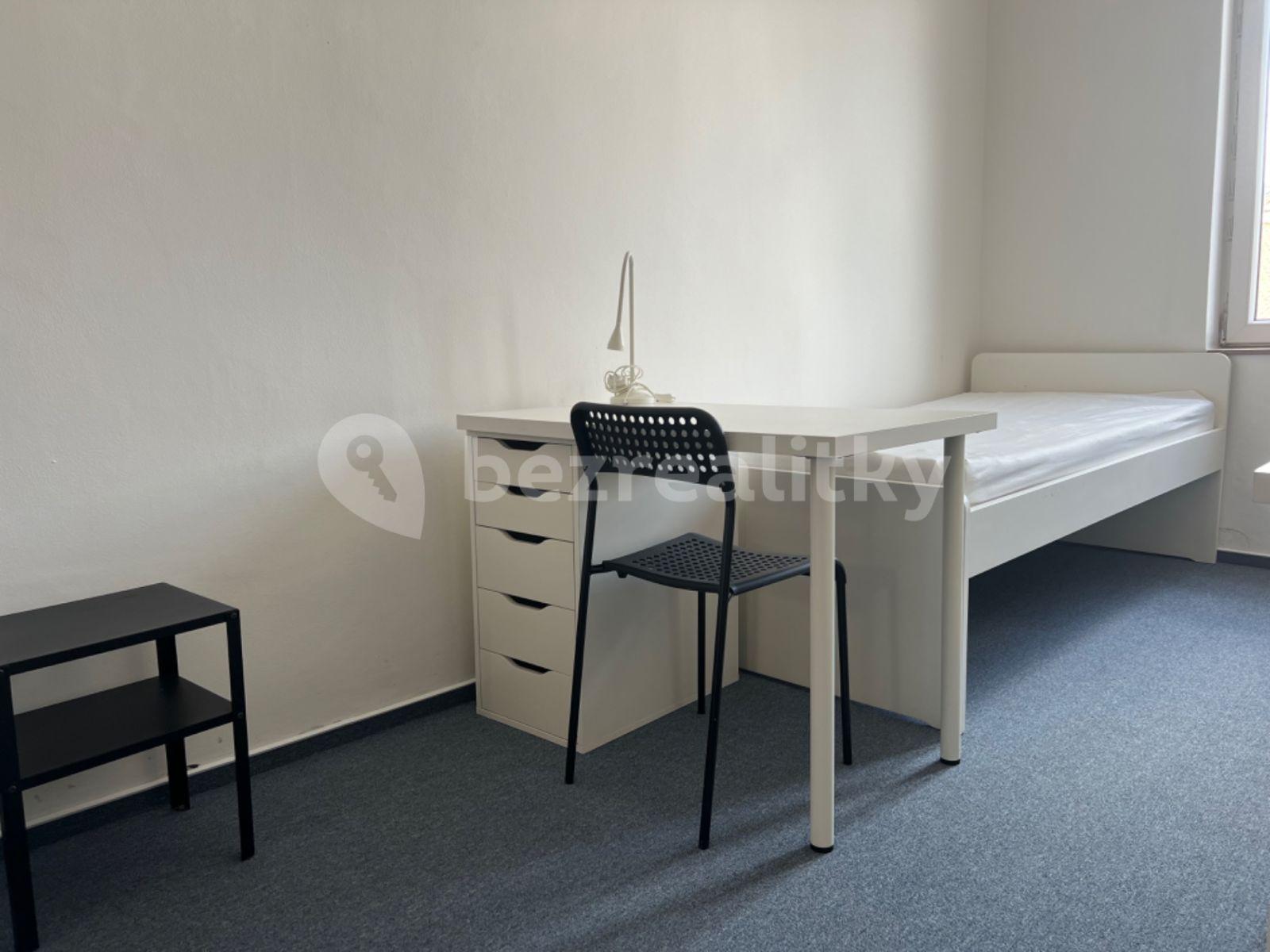 Pronájem bytu 1+kk 23 m², Václavská, Brno, Jihomoravský kraj