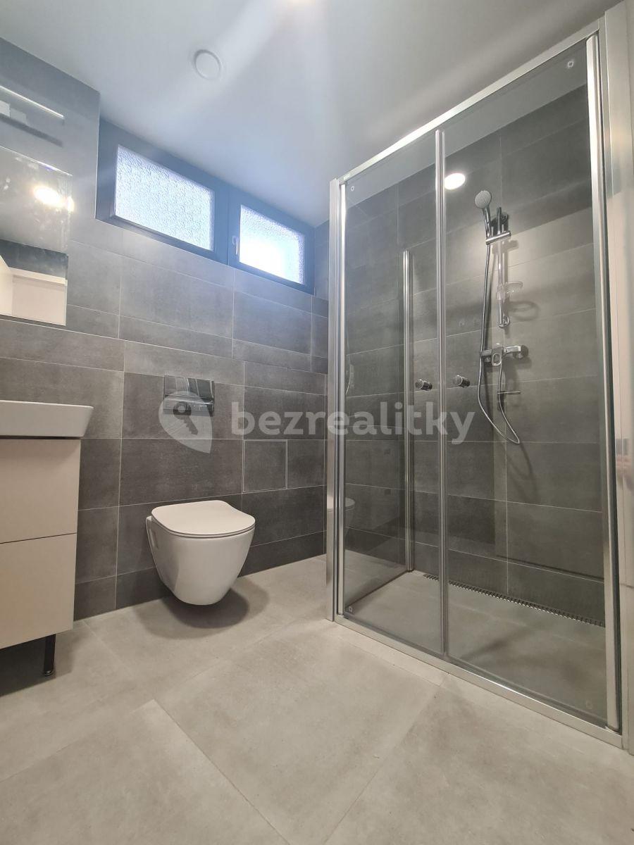 Pronájem bytu 1+kk 35 m², Praha, Praha