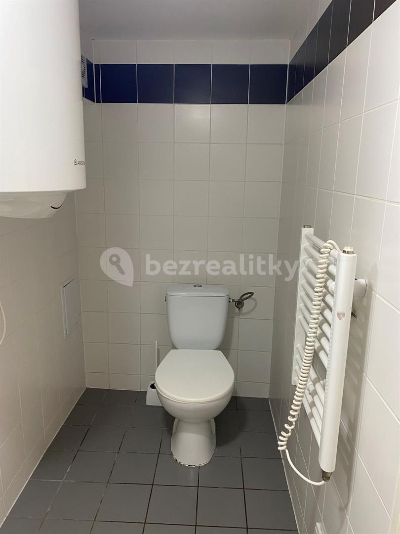 Pronájem bytu 1+kk 18 m², Václavská, Brno, Jihomoravský kraj