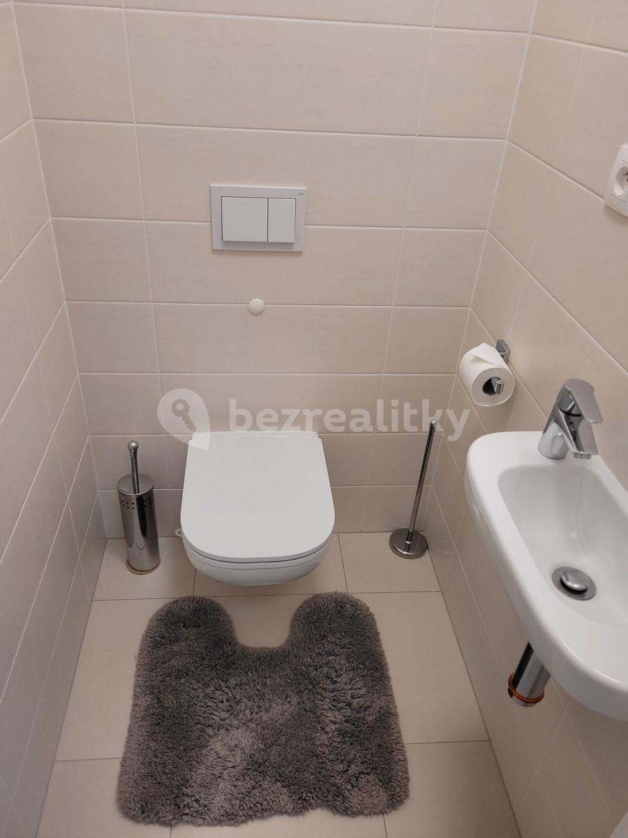 Pronájem bytu 2+kk 55 m², U Mlýnského kanálu, Praha, Praha