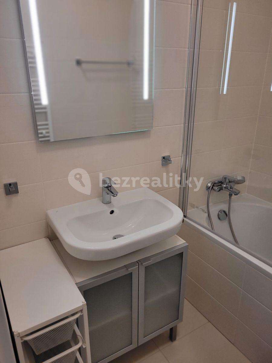 Pronájem bytu 2+kk 55 m², U Mlýnského kanálu, Praha, Praha