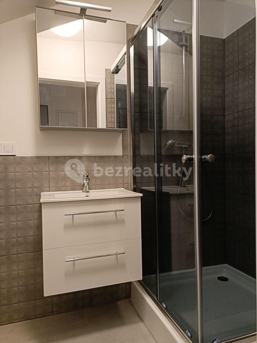 Pronájem bytu Garsoniéra 32 m², Seifertova, Praha, Praha